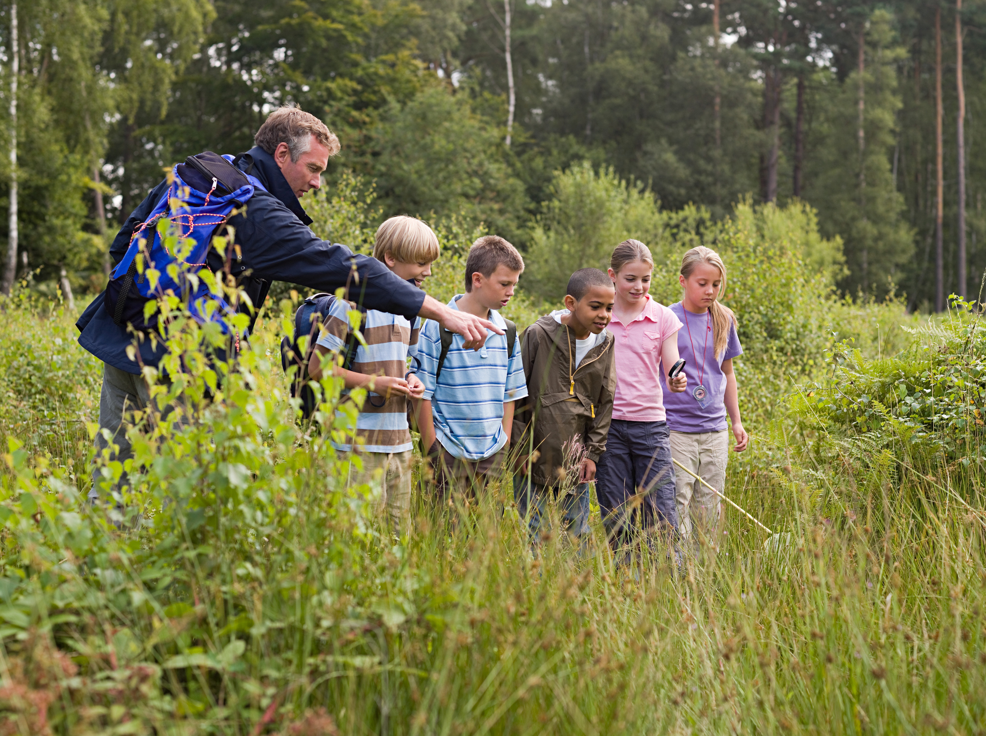 Environmental Studies An Educator s Guide For The Social Studies 